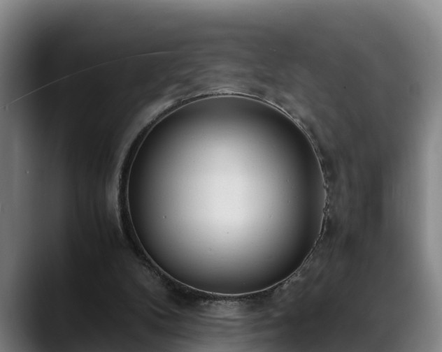 X0000088840104200706141546