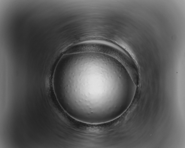 X0000088840105200706141546