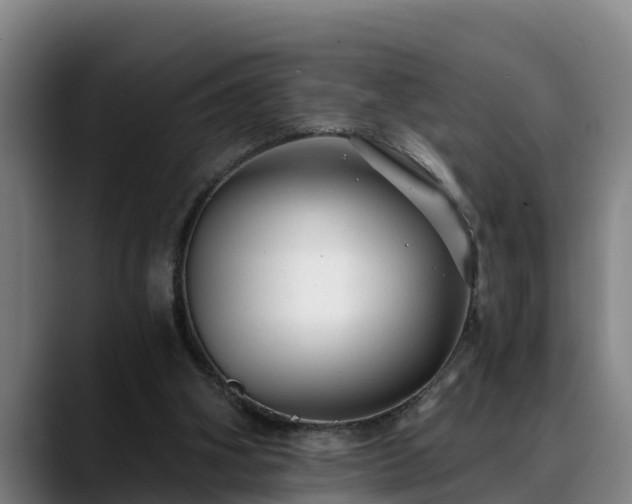 X0000088840106200706141546