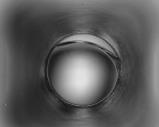 X0000088840107200706141546