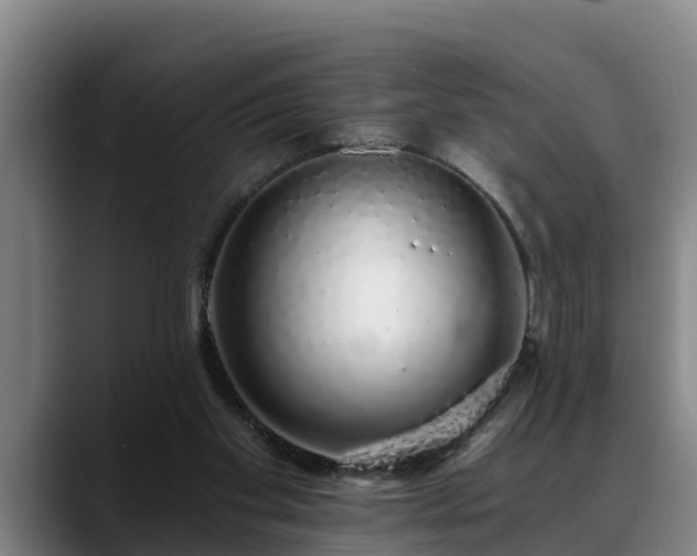 X0000088840109200706141546