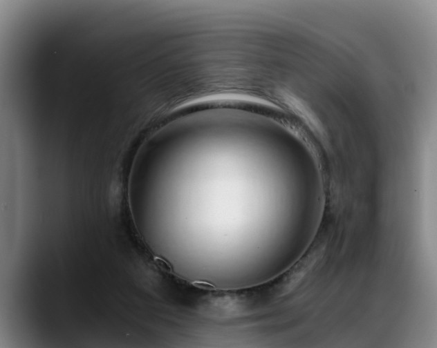 X0000088840113200706141546