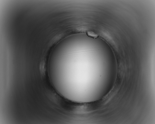 X0000088840116200706141545