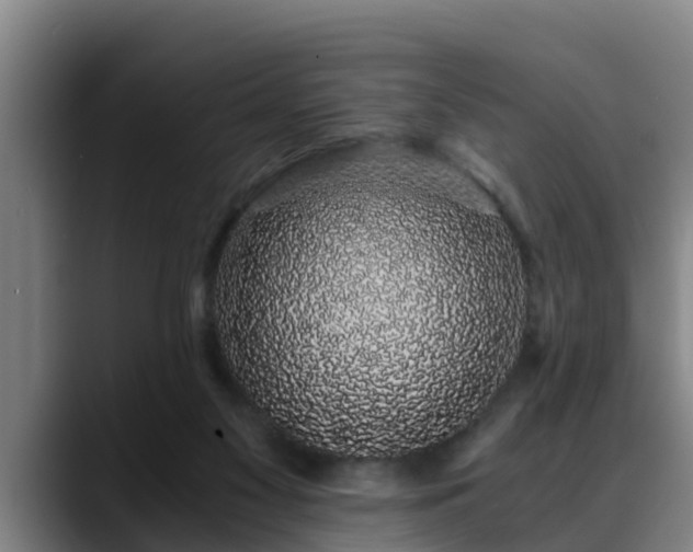 X0000088840117200706141545