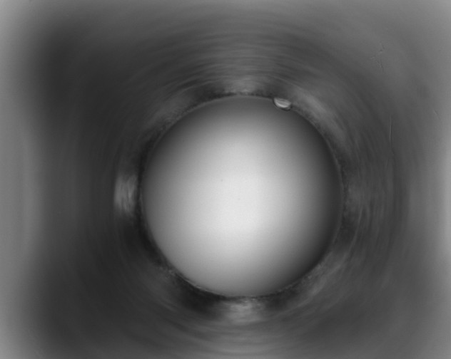 X0000088840118200706141545