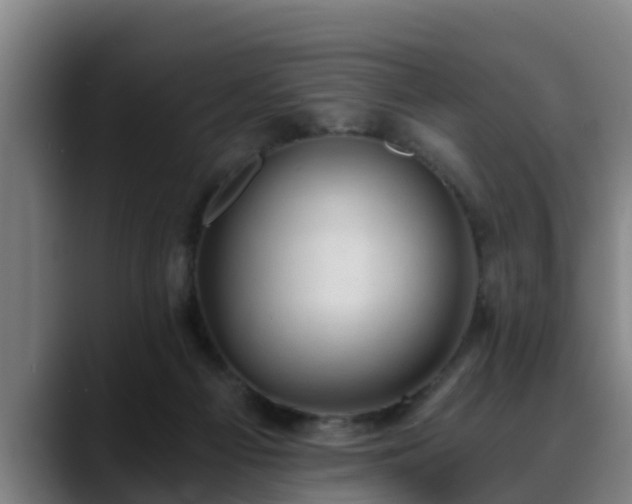 X0000088840121200706141545