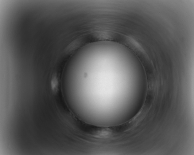 X0000088840124200706141545