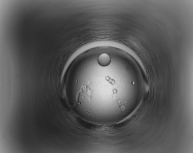 X0000088840125200706141545