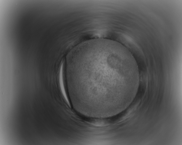 X0000088840127200706141545