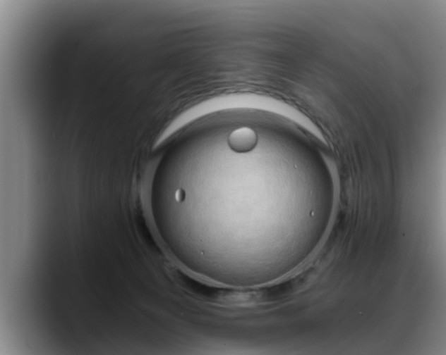 X0000088840129200706141545