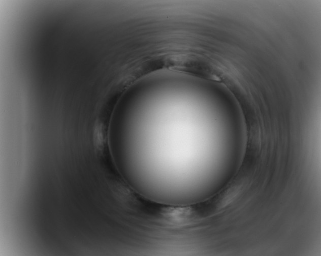 X0000088840135200706141545