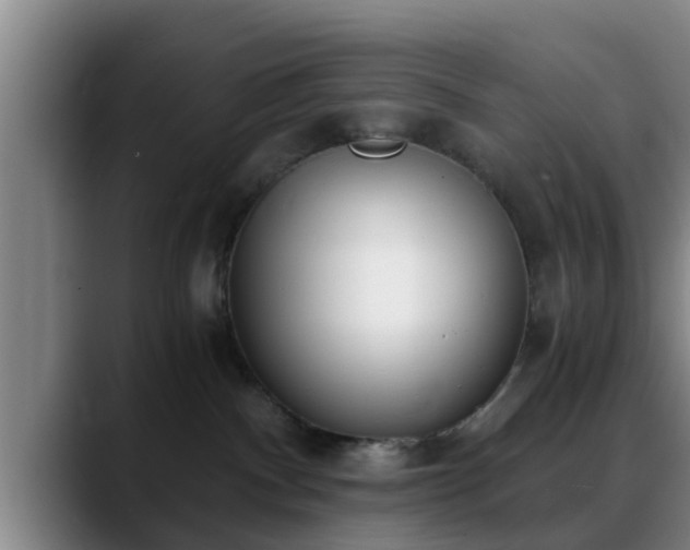 X0000088840140200706141545