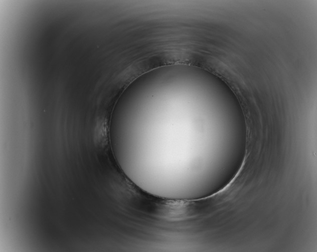 X0000088840144200706141545