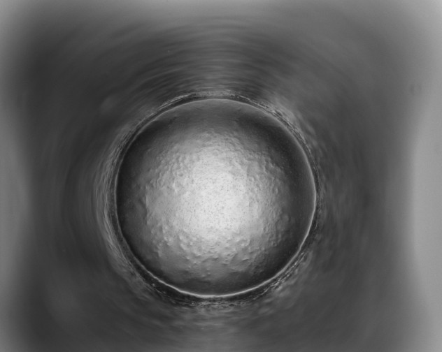 X0000088840145200706141545