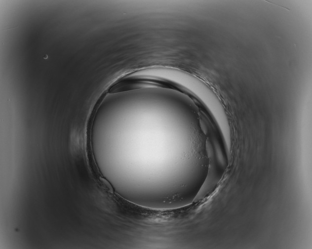 X0000088840148200706141545