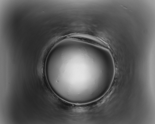 X0000088840149200706141545