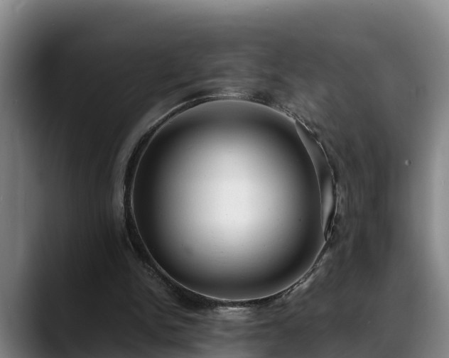 X0000088840150200706141545