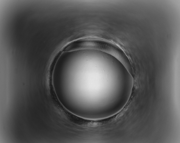 X0000088840152200706141545