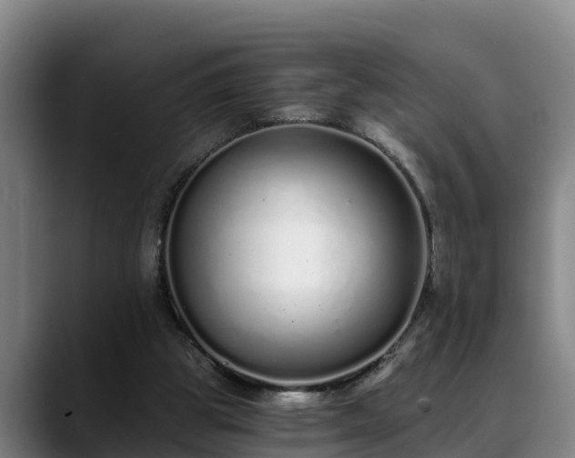 X0000088840153200706141545