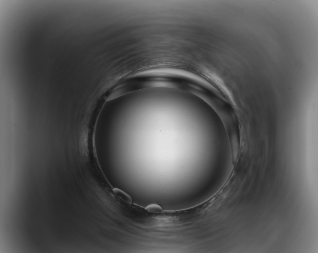 X0000088840154200706141545