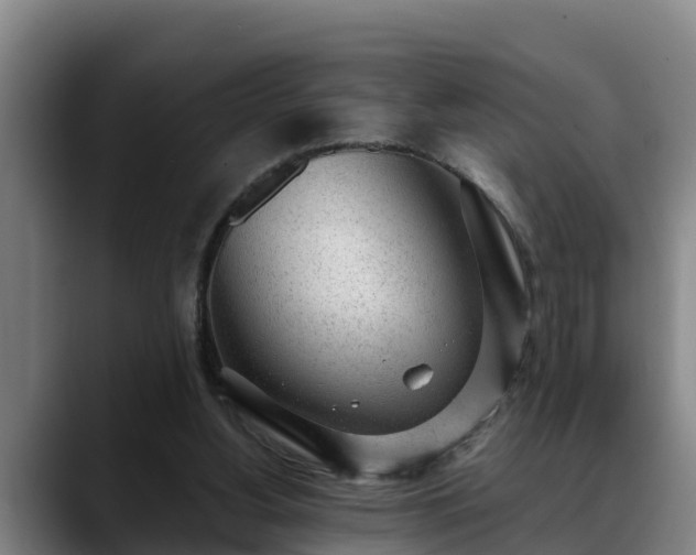 X0000088840156200706141545