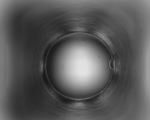 X0000088840157200706141545