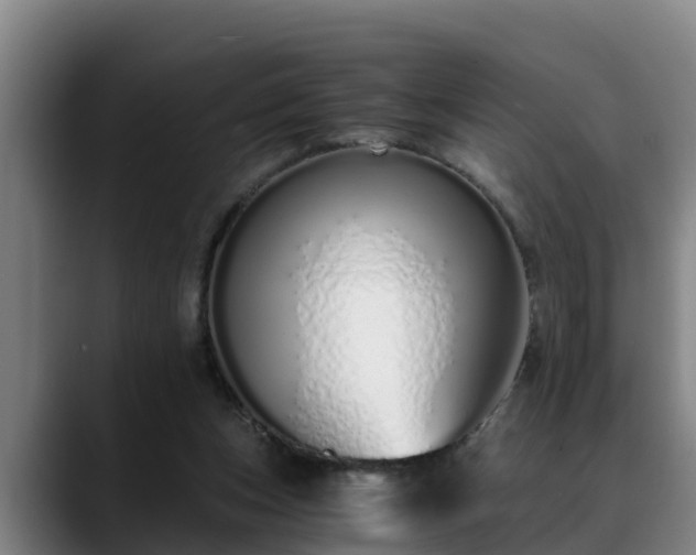 X0000088840159200706141545