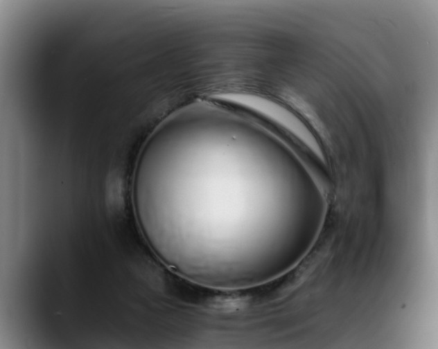 X0000088840161200706141545