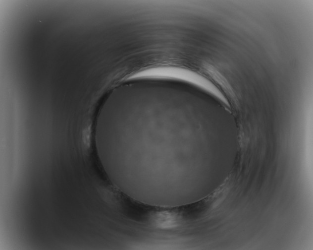 X0000088840163200706141545