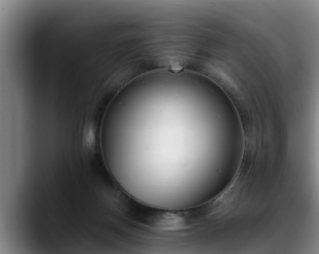 X0000088840166200706141545