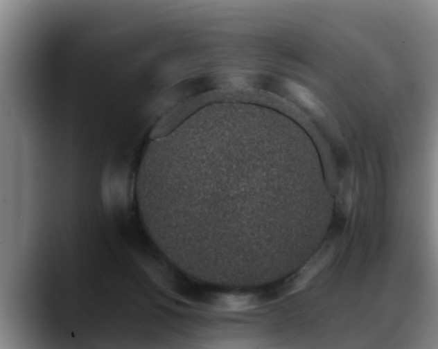 X0000088840168200706141545