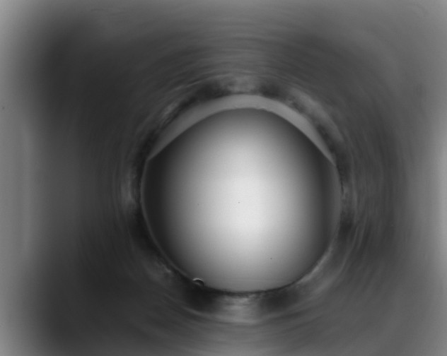 X0000088840170200706141545