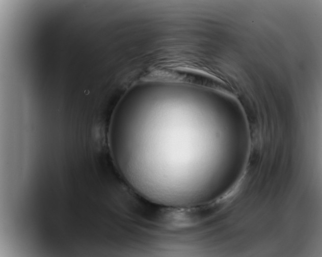 X0000088840182200706141545