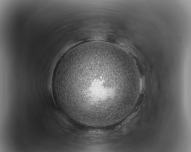 X0000088840195200706141545