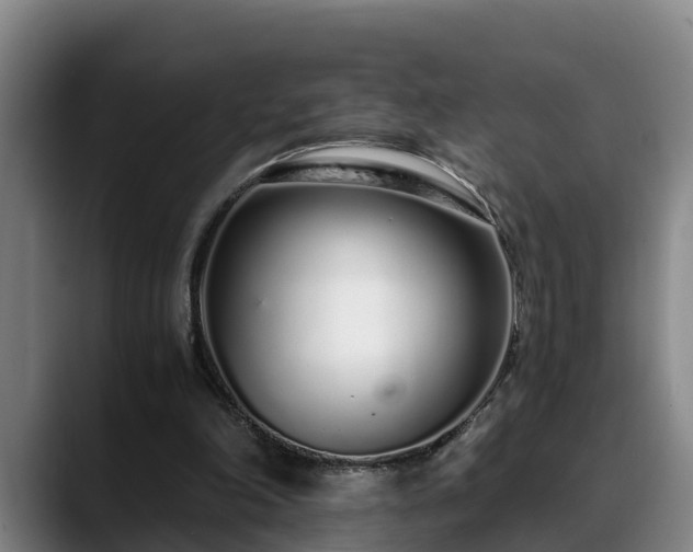 X0000088840198200706141545