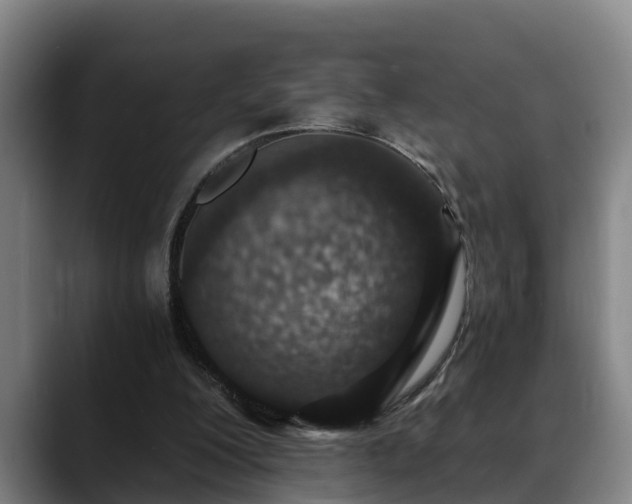 X0000088840200200706141545