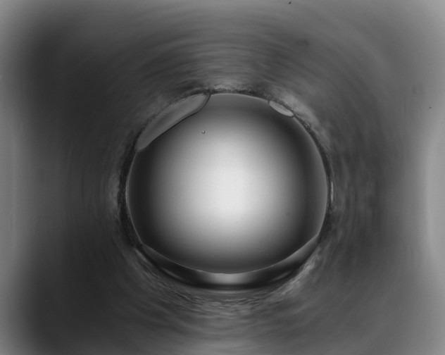 X0000088840201200706141544