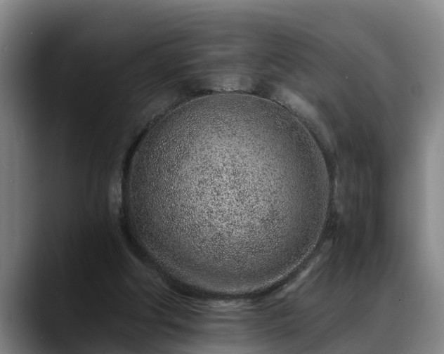 X0000088840202200706141544