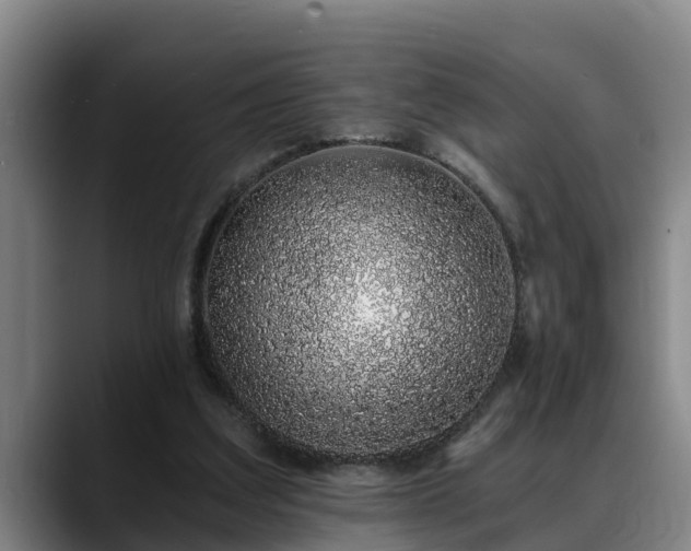 X0000088840203200706141544