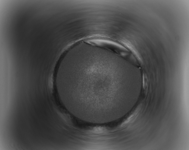 X0000088840204200706141544