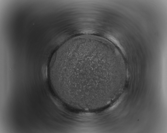 X0000088840205200706141544