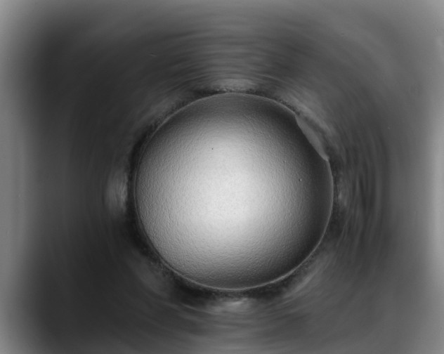 X0000088840206200706141544