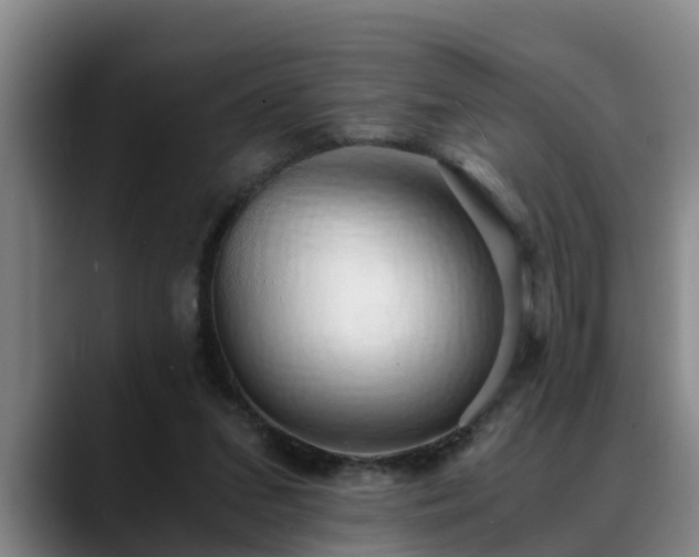 X0000088840207200706141544