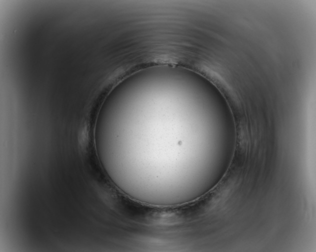 X0000088840208200706141544