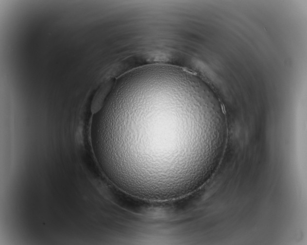 X0000088840209200706141544