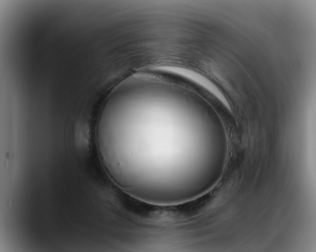 X0000088840211200706141544