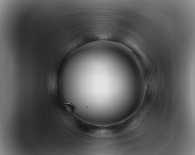 X0000088840212200706141544