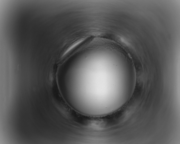 X0000088840215200706141544