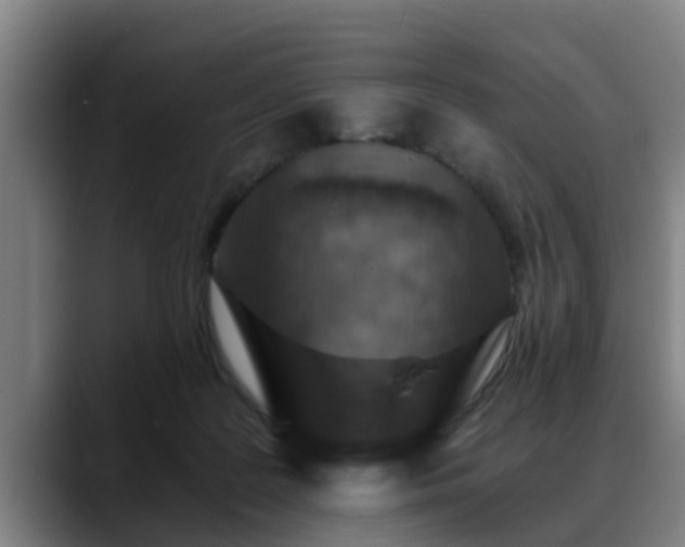 X0000088840219200706141544