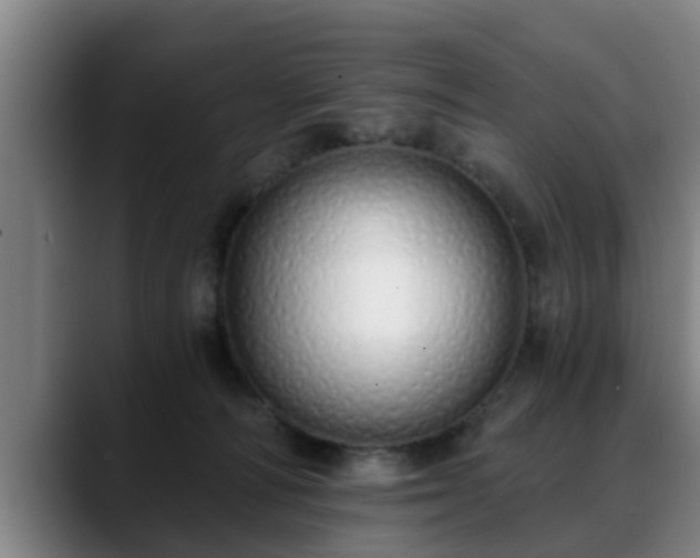 X0000088840226200706141544